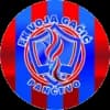 Voja Gačić
